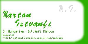 marton istvanfi business card